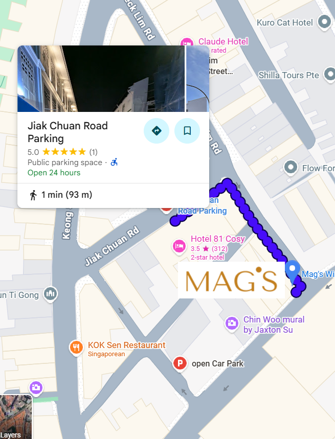 MagMap 1